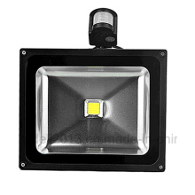 CE Approved 10W 20W 30W 50W 100W RGB Sensor PIR LED Flood Light (COB)